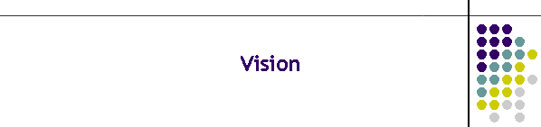 Vision