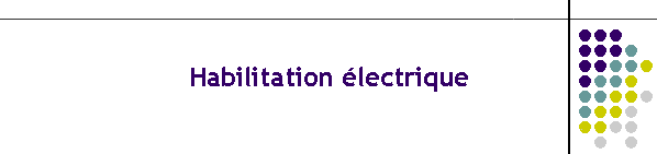 Habilitation lectrique