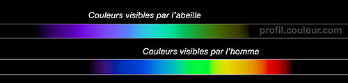 Les couleurs visibles
