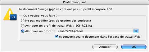 profil-incorpore-scanner